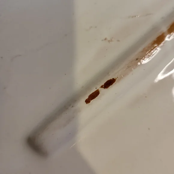 La Musa MCM Ceramic Hand Painted Fish Platter - Picture 13 of 16